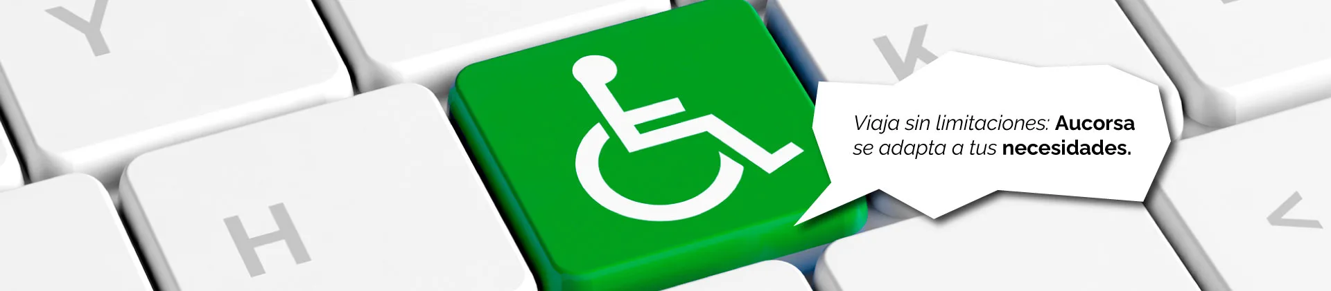 movilidad accesible